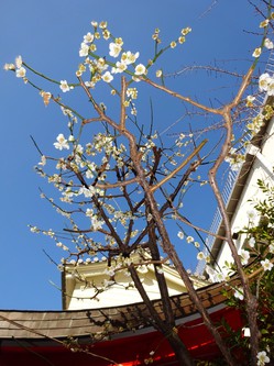DSC01645.JPG